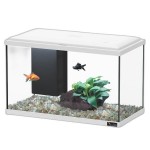 Aquario Explorer Lisbon Led Branco 22 L AQUATLANTI Aquario Explorer Lisbon Led Branco 22 L AQUATLANTI