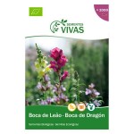 Boca de Leão 0,3G SEMENTES VIVAS Boca de Leão 0,3G SEMENTES VIVAS