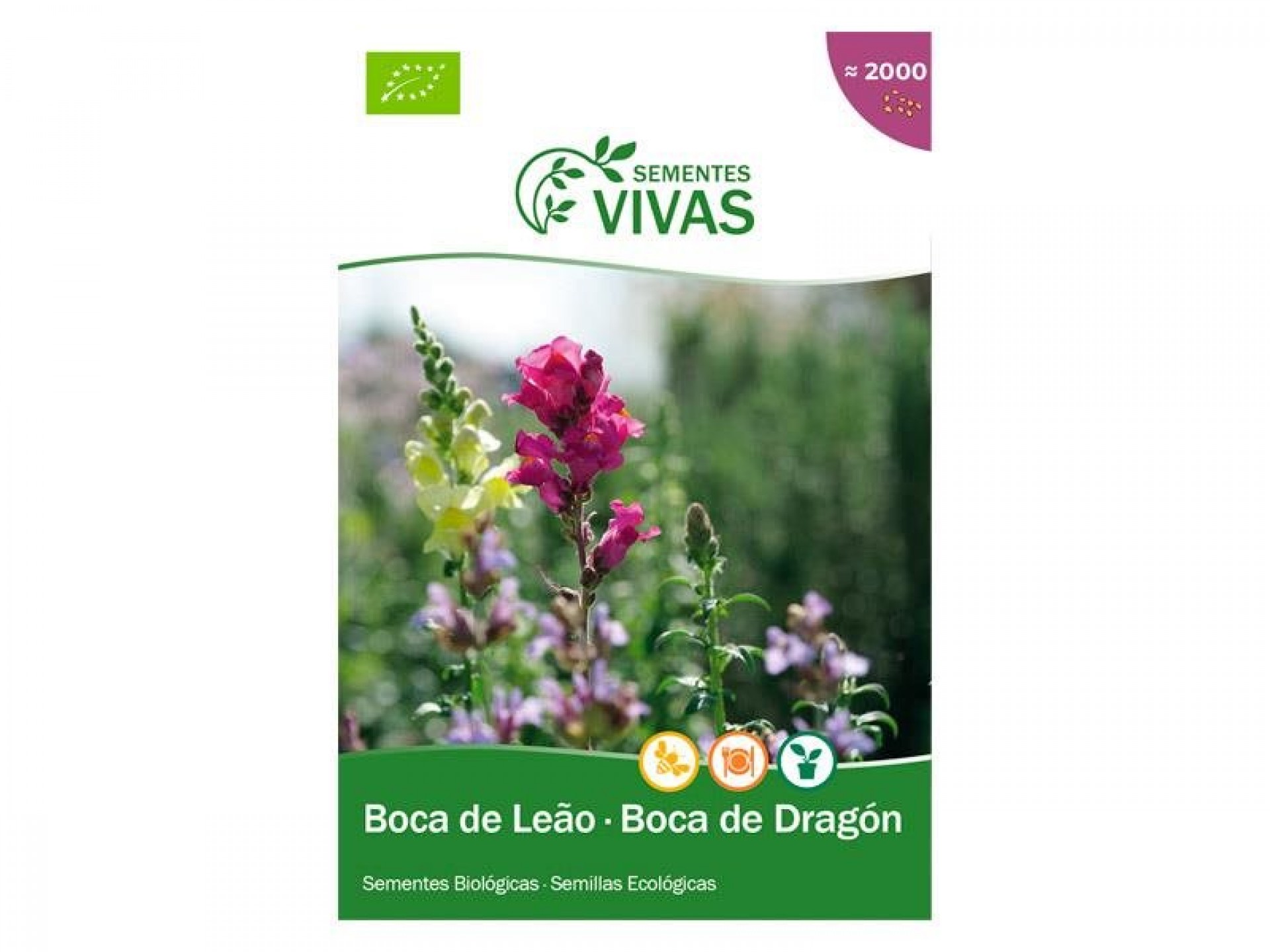 Boca de Leão 0,3G SEMENTES VIVAS