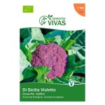 Couve Flor Sicilia Violetto 0,5G SEMENTES VIVAS Couve Flor Sicilia Violetto 0,5G SEMENTES VIVAS