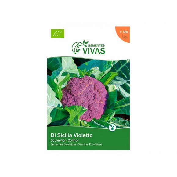 Couve Flor Sicilia Violetto 0,5G SEMENTES VIVAS Couve Flor Sicilia Violetto 0,5G SEMENTES VIVAS
