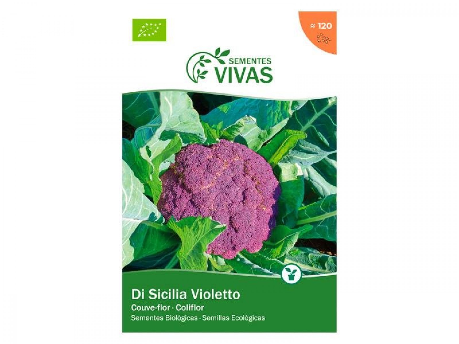 Couve Flor Sicilia Violetto 0,5G SEMENTES VIVAS