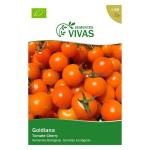 Tomate Goldiana 50 Sementes SEMENTES VIVAS Tomate Goldiana 50 Sementes SEMENTES VIVAS