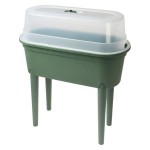 VERDE VERDE