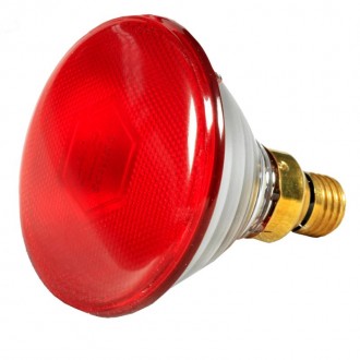 L�mpada de Aquecimento 100W PHILIPS