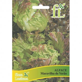 Alface Maravilha Ver�o Canasta 10 G FLORA LUSITANA