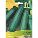 Courgete Black Beauty 10 G FLORA LUSITANA Courgete Black Beauty 10 G FLORA LUSITANA