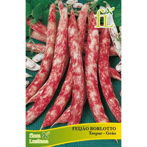 Feijão Borlotto Trepar 100 G FLORA LUSITANA Feijão Borlotto Trepar 100 G FLORA LUSITANA