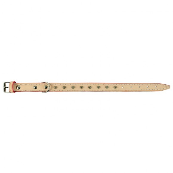 Coleira Para C�o Em Pele Com Aplica��es 45X2,2 CM MARPEL