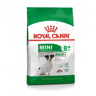 Alimento Seco C�o Mini Adulto 8+ 8 KG ROYAL CANIN
