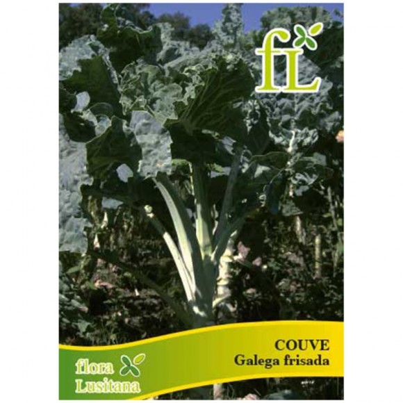 Couve Galega Frisada 10 G FLORA LUSITANA