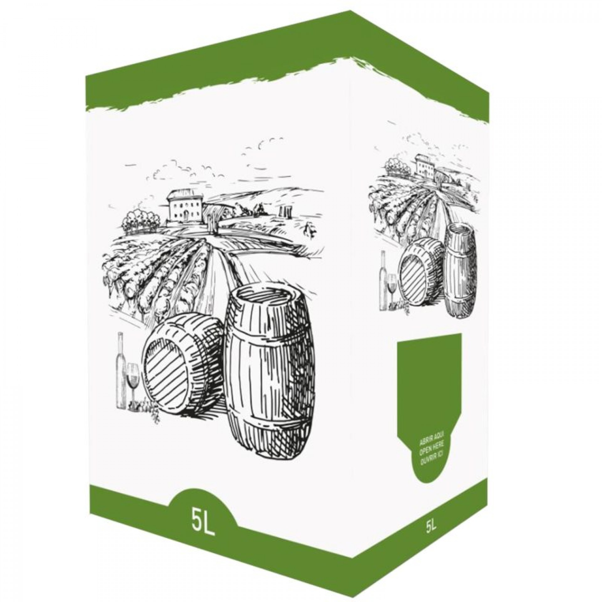 Caixa Vinis Branco Para Bib 5 L