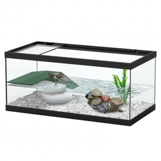 Tartarugueira 55CM