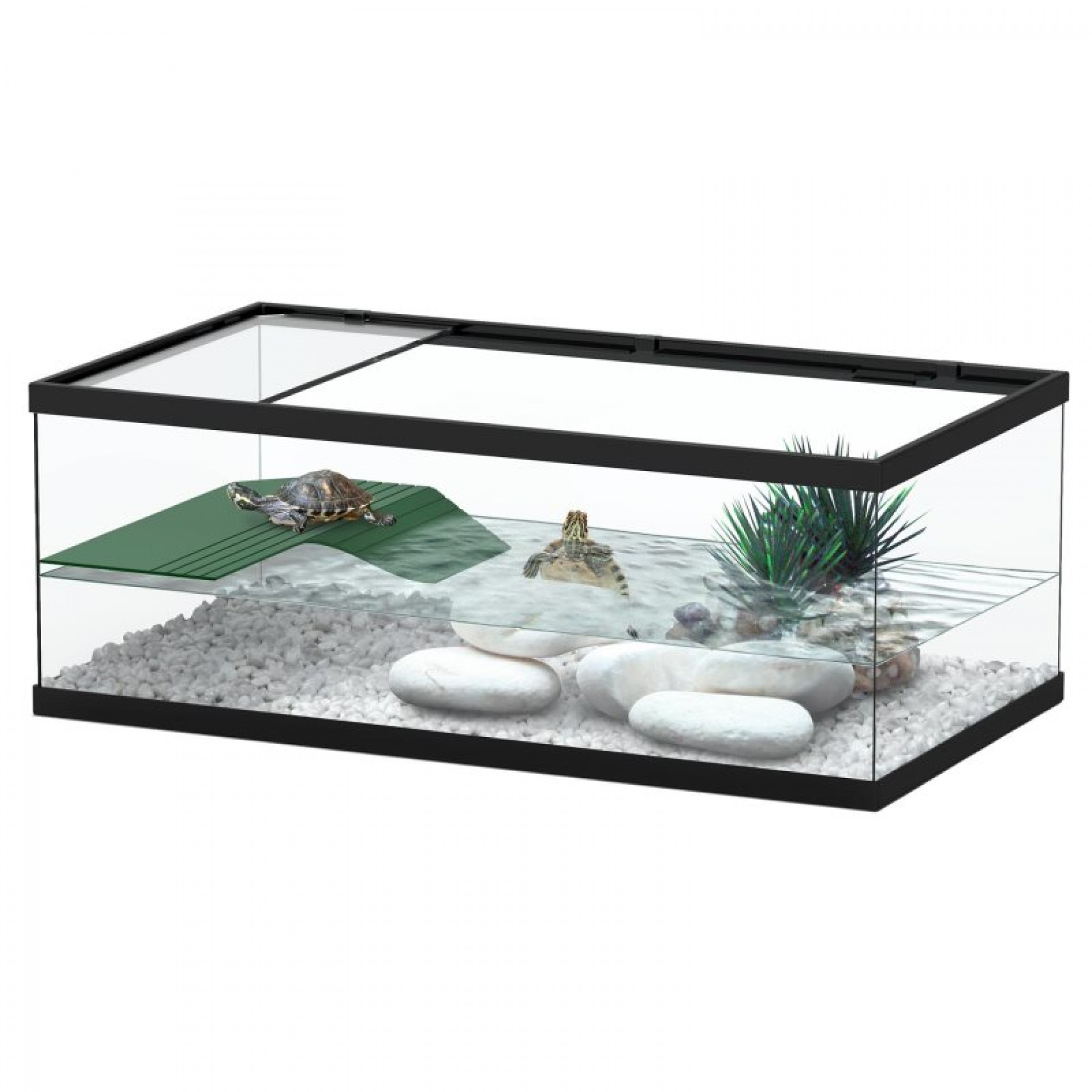 Tartarugueira 55CM