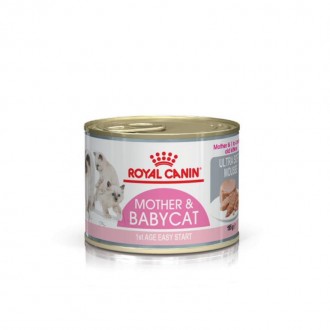 Alimento Húmido Gato Mãe e Bebé 195 G ROYAL CANIN Alimento Húmido Gato Mãe e Bebé 195 G ROYAL CANIN