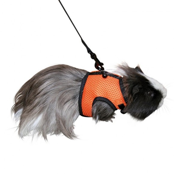 Peitoral P/Roedores 22-26 CM KERBL Peitoral P/Roedores 22-26 CM KERBL