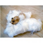 Material de Ninho P/Hamster Branco 30 G KERBL Material de Ninho P/Hamster Branco 30 G KERBL