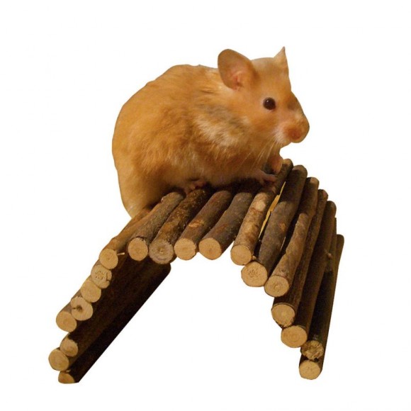 Ponte De Madeira Hamster 21 CM KERBL