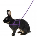 Peitoral P/Roedores 34-50 CM KERBL Peitoral P/Roedores 34-50 CM KERBL