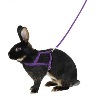 Peitoral P/Roedores 21-35 CM KERBL