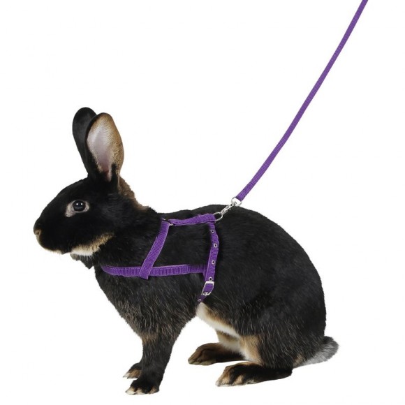 Peitoral P/Roedores 34-50 CM KERBL Peitoral P/Roedores 34-50 CM KERBL