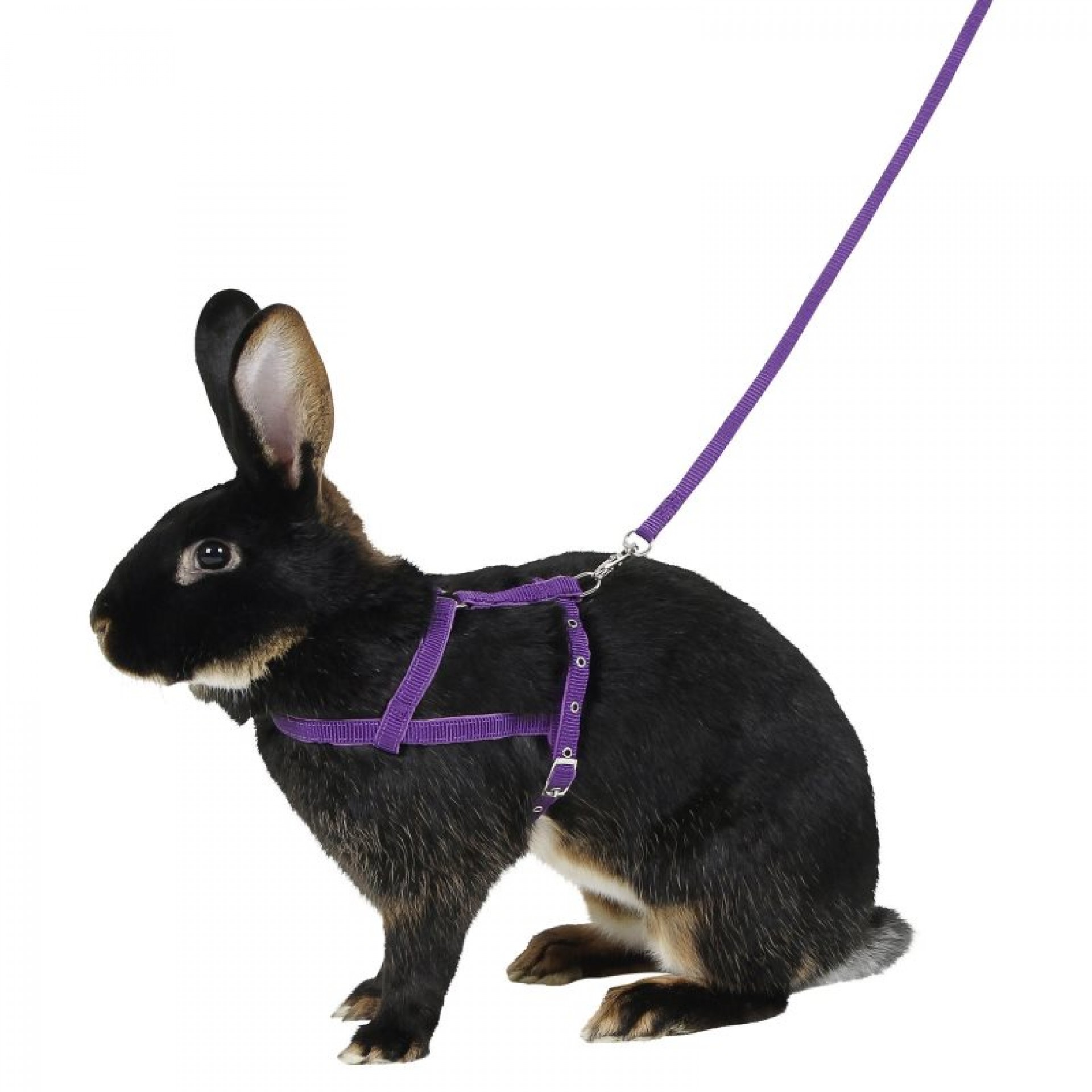 Peitoral P/Roedores 21-35 CM KERBL