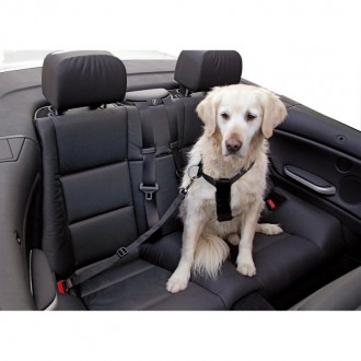 Peitoral Segurança Carro Para Cão 30-60CM KERBL Peitoral Segurança Carro Para Cão 30-60CM KERBL