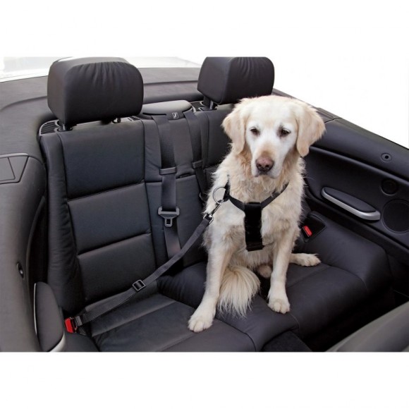 Peitoral Segurança Carro Para Cão 70-90CM KERBL Peitoral Segurança Carro Para Cão 70-90CM KERBL