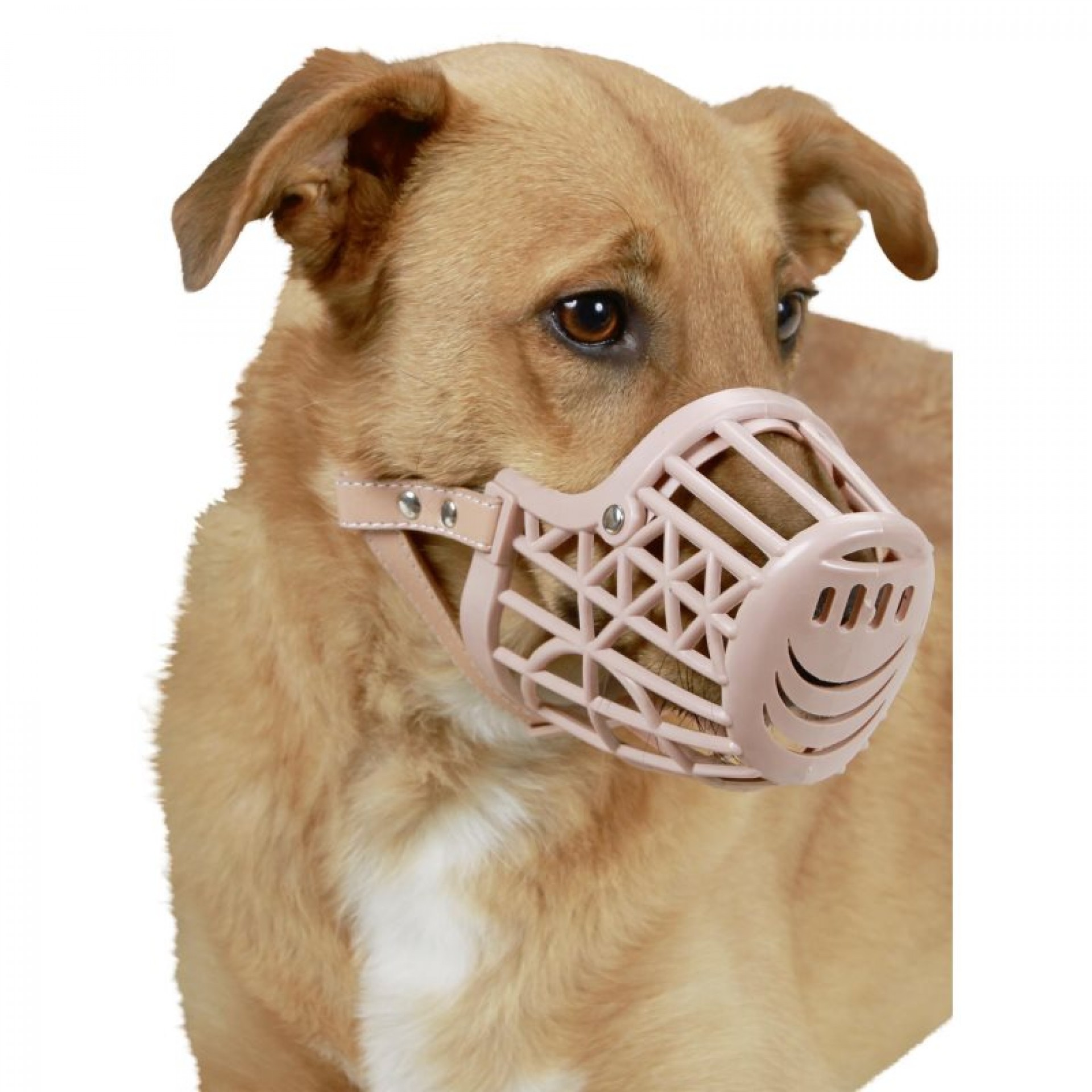 Açaime de Plástico para Cão 31 CM KERBL