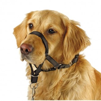 A�aime De Treino Para C�o 38 CM KERBL