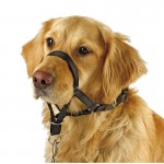 Açaime De Treino Para Cão 38 CM KERBL Açaime De Treino Para Cão 38 CM KERBL