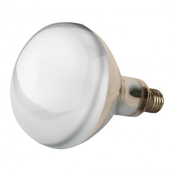 Lampada Aquecimento Transparente 150W PHILIPS Lampada Aquecimento Transparente 150W PHILIPS