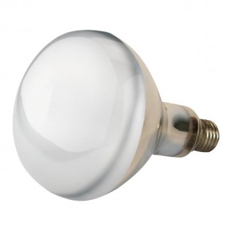 Lamp Aquecimento Transp 250W PHILIPS