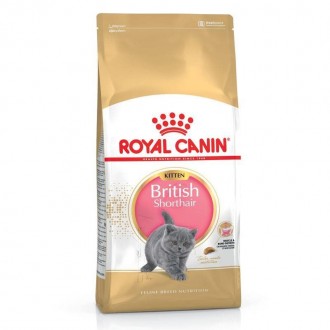 Alimento Gato British Shorthair 2 KG ROYAL CANIN