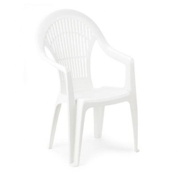 Cadeira Vega Com Braço Branca PROGARDEN Cadeira Vega Com Braço Branca PROGARDEN