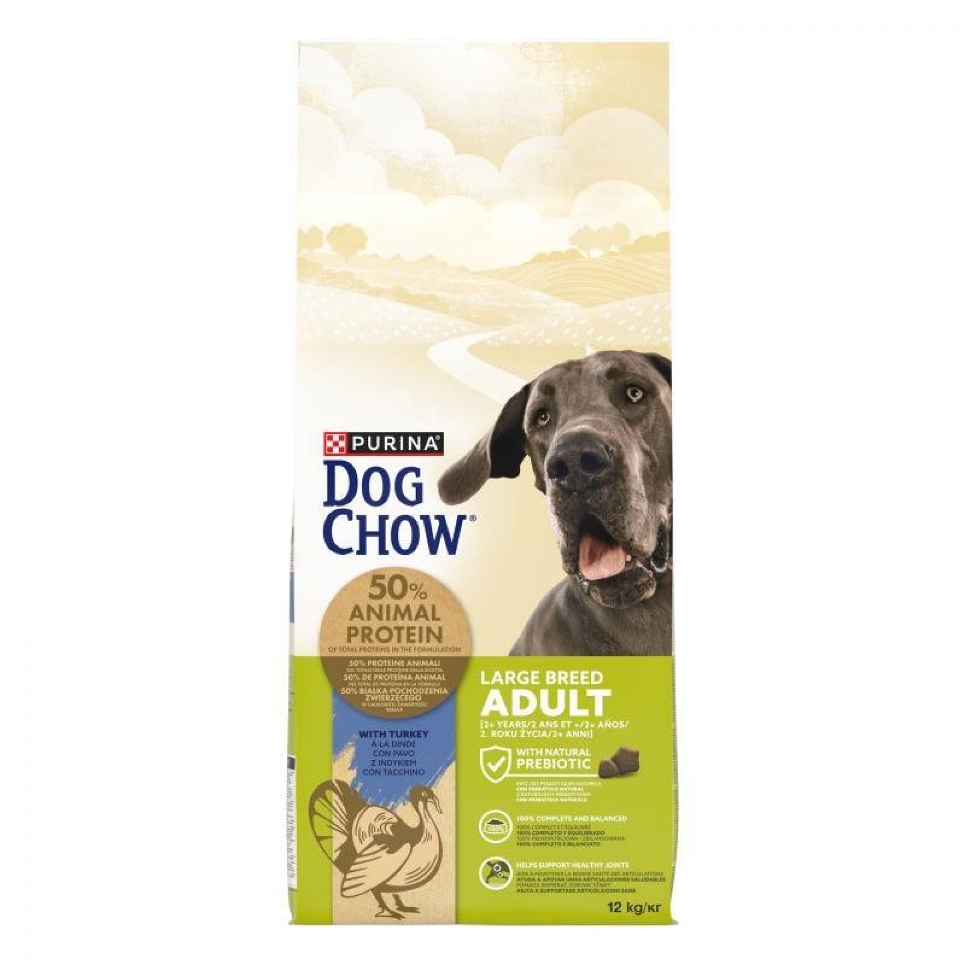 Alimento Seco Para Cão Adulto Raça Grande Perú 12 KG DOGCHOW