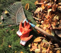 Como preparar o jardim para o outono Como preparar o jardim para o outono