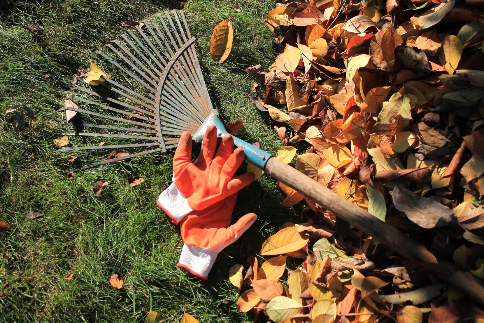 Como preparar o jardim para o outono Como preparar o jardim para o outono